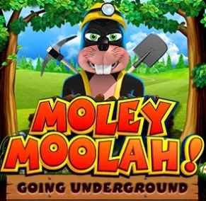 Mega Moolah slot game